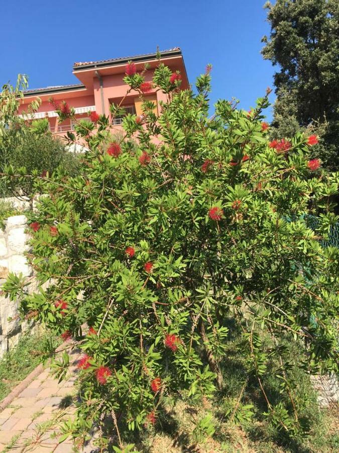 Villa Matovica Kampor Eksteriør billede